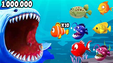 hungry fish game online|Hungry Fish .